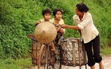 Ngắm những hình ảnh tuyệt đẹp về người phụ nữ Việt chịu thương chịu khó