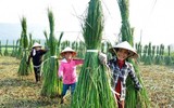 Ngắm những hình ảnh tuyệt đẹp về người phụ nữ Việt chịu thương chịu khó