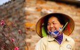 Ngắm những hình ảnh tuyệt đẹp về người phụ nữ Việt chịu thương chịu khó