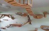 [Ảnh] Ngỡ ngàng với những thiết kế lạ mắt bên trong các dinh phủ