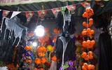 [Ảnh] Sắc màu ma quỷ ngập tràn phố phường Hà Nội