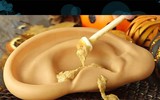 Những món ăn kinh dị nhìn đã muốn ngất trong 