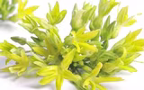 10 loại thực phẩm giúp bạn an thần ngủ ngon mỗi ngày
