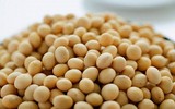 10 loại thực phẩm giúp bạn an thần ngủ ngon mỗi ngày