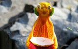 Nổi da gà với các loài thực vật 