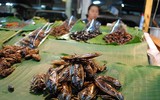 [Ảnh] Những món đặc sản kỳ lạ bậc nhất thế giới