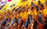 [Ảnh] Những món đặc sản kỳ lạ bậc nhất thế giới