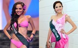 Những nhan sắc Việt từng 