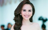 Những nhan sắc Việt từng 