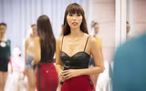 Những nhan sắc Việt từng 