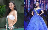 Những nhan sắc Việt từng 