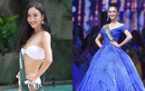 Những nhan sắc Việt từng 