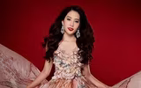 Những nhan sắc Việt từng 