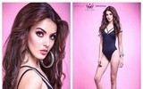 Lộ diện những ứng cử viên tiềm năng cho vương miện Hoa hậu Hoàn vũ 2018