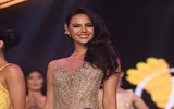 Lộ diện những ứng cử viên tiềm năng cho vương miện Hoa hậu Hoàn vũ 2018