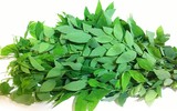 8 loại rau mà bà bầu phải kiêng ăn vì có hại cho thai nhi