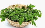 8 loại rau mà bà bầu phải kiêng ăn vì có hại cho thai nhi