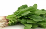 8 loại rau mà bà bầu phải kiêng ăn vì có hại cho thai nhi