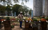 Hòa mình vào nhịp sống thường nhật của người dân Cuba