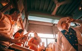 Hòa mình vào nhịp sống thường nhật của người dân Cuba