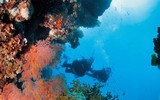 [Ảnh] Chiêm ngưỡng những di sản UNESCO đẹp nhất thế giới