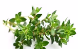 Những loại thực phẩm giúp thanh lọc cơ thể và giảm béo hiệu quả