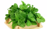 Những loại thực phẩm giúp thanh lọc cơ thể và giảm béo hiệu quả