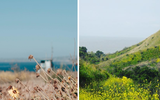 Khó tin khung cảnh đối lập của California trước và sau trận bão lửa kinh hoàng
