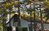 Khó tin khung cảnh đối lập của California trước và sau trận bão lửa kinh hoàng