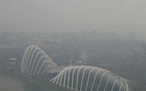 Kinh sợ trước sức tàn phá của 