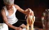 Độc đáo thú chơi Gà Đông Tảo mới: Chân gà ngâm rượu