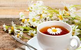 Lạ miệng ẩm thực từ hoa cúc, vừa thơm ngon vừa bổ dưỡng