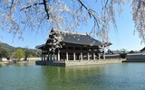 Đi tìm lý do gì khiến du lịch Hàn Quốc luôn hút khách