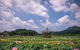 Tưng bừng trải nghiệm 10 lễ hội đặc sắc nhất Hàn Quốc