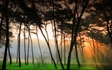 [ẢNH] Ghé thăm những điểm đến 
