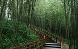 [ẢNH] Ghé thăm những điểm đến 