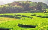 [ẢNH] Ghé thăm những điểm đến 
