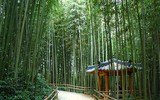 [ẢNH] Ghé thăm những điểm đến 