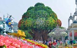 [ẢNH] Ghé thăm những điểm đến 