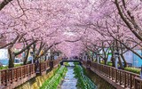 [ẢNH] Ghé thăm những điểm đến 