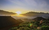 [ẢNH] Hút mắt những đồi chè xanh, đẹp như bích họa