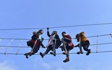 [ẢNH] Hút mắt những đồi chè xanh, đẹp như bích họa