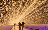 Top 10 lễ hội sôi động nhất thế giới diễn ra trong tháng 12