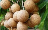 Những hoa quả nguy hại khôn lường đối với mẹ bầu