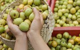 Những hoa quả nguy hại khôn lường đối với mẹ bầu