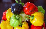Những thực phẩm mẹ bầu 