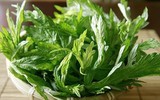 Những thực phẩm mẹ bầu 