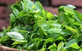 Những thực phẩm mẹ bầu 