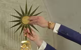 Chiêm ngưỡng cây thông Giáng sinh 2018 đắt đỏ nhất châu Âu