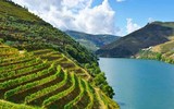 Chiêm ngưỡng những dòng sông huyền bí nhất thế giới
